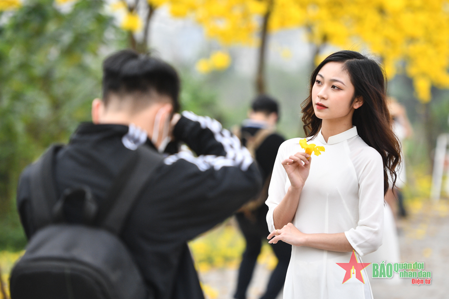 Đẹp ngỡ ngàng hàng hoa phong linh ở Hà Nội